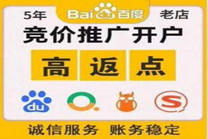 某行业SEM投放效果显著案例分享